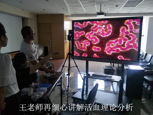 微循環檢測儀，一滴血檢測儀廠家