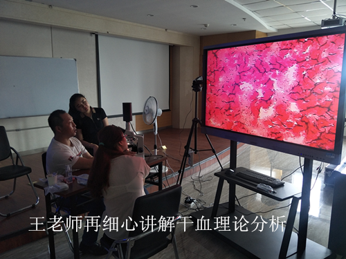 微循環檢測儀，一滴血檢測儀廠家