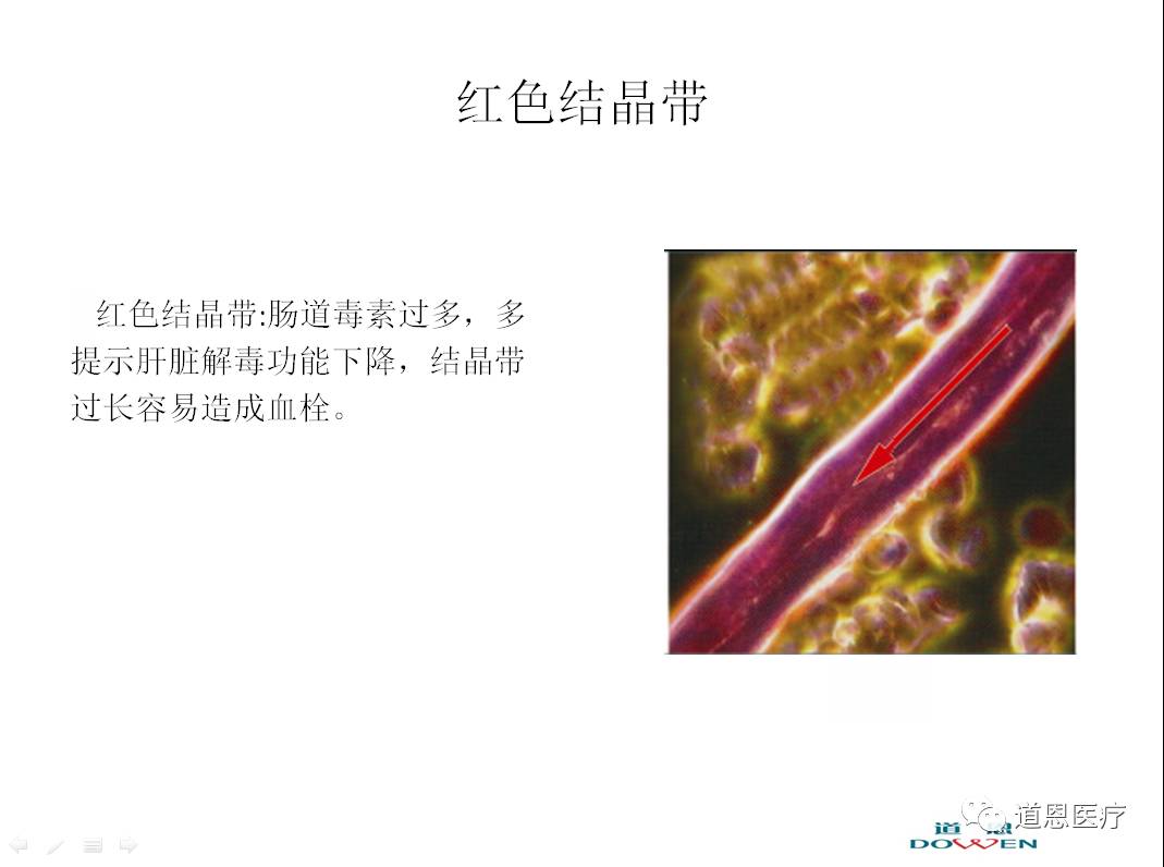 微循環檢測儀，一滴血檢測儀廠家