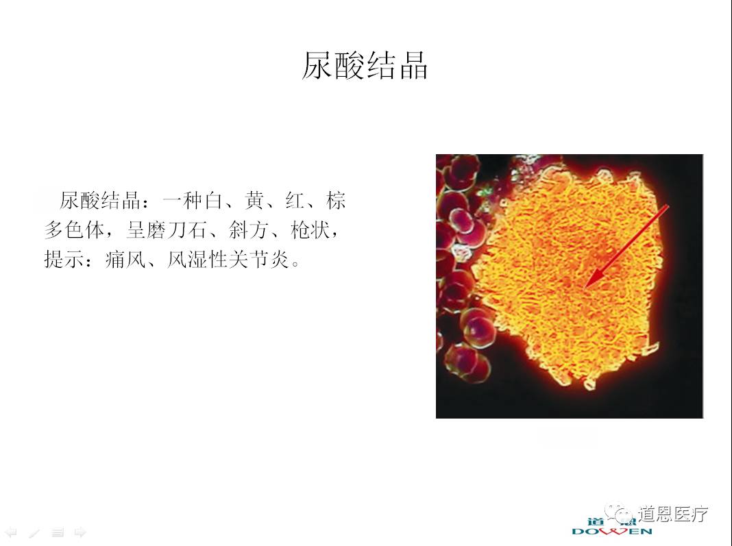 微循環檢測儀，一滴血檢測儀廠家