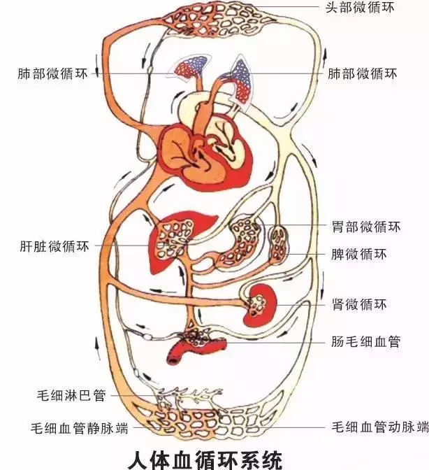 微信圖片_20180919175138.png