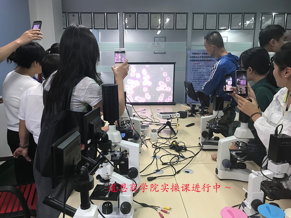 微循環檢測儀，一滴血檢測儀廠家