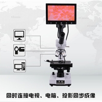 一滴血檢測儀的分類與特點