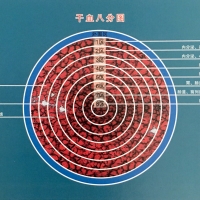 一滴血檢測儀干血八分圖講解二