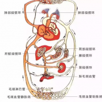 未病先防，亞健康的危害