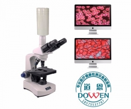 黑背景一滴血檢測儀MDI-305BC